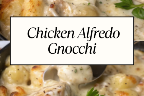 Chicken Alfredo Gnocchi – Creamy, Cheesy, and Comforting