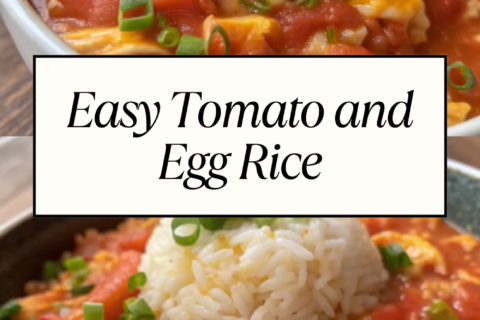 Easy Tomato and Egg Rice – A Comforting One-Bowl Meal