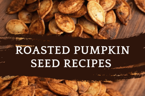 Roasted Pumpkin Seed Recipes – Many Delicious Flavor Options