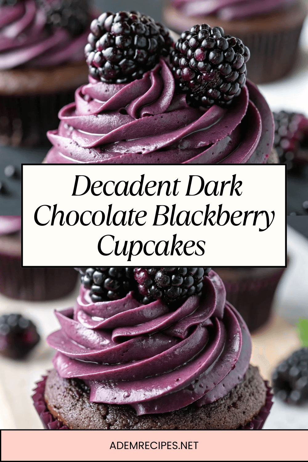 Decadent Dark Chocolate Blackberry Cupcakes for Thanksgiving